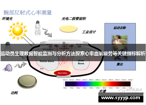 运动员生理数据智能监测与分析方法探索心率血氧疲劳等关键指标解析